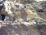 Wanner klettert die schöne Blue Oyster Cult 7c