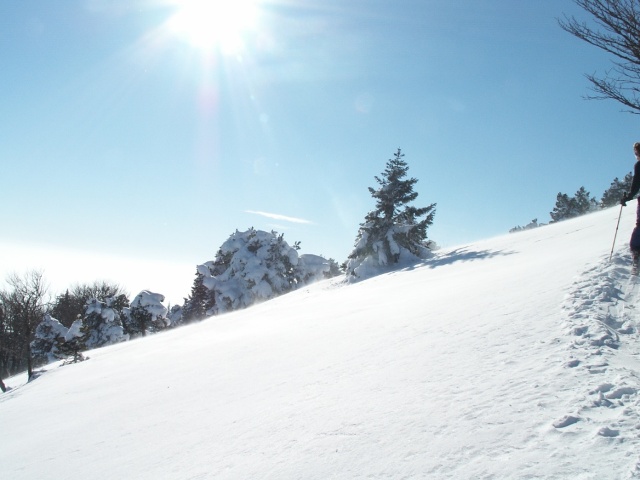 PICT1642.JPG