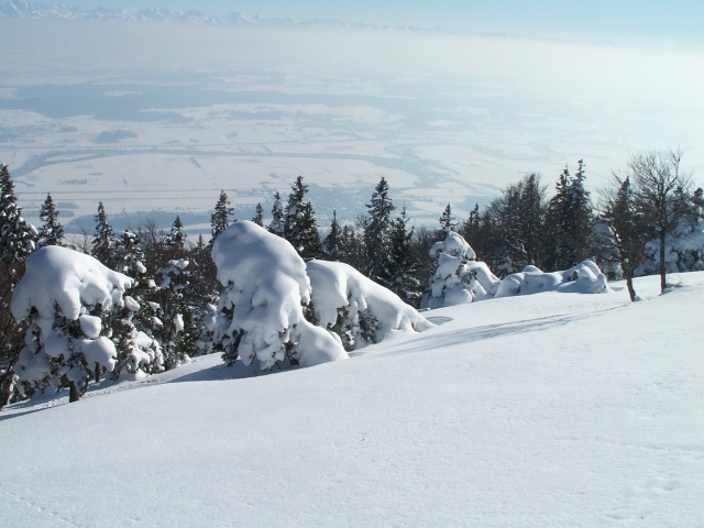 PICT1643.JPG