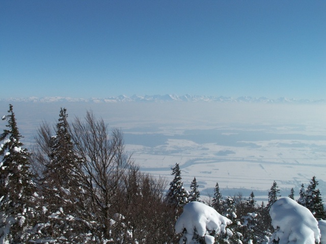 PICT1645.JPG