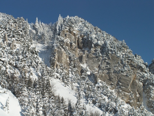 PICT1651.JPG