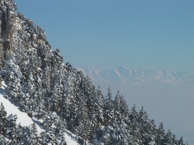 PICT1655.JPG