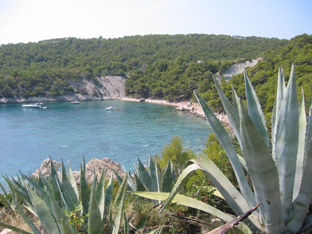 hvar-bay-1.JPG