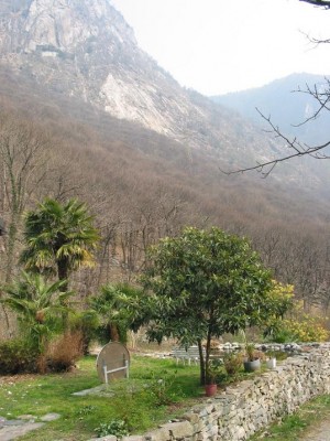 Ist das nich ein Ausblick? Direkt vom Gartensitzplatz zur Kletterwand (Pinocchioplatte)!